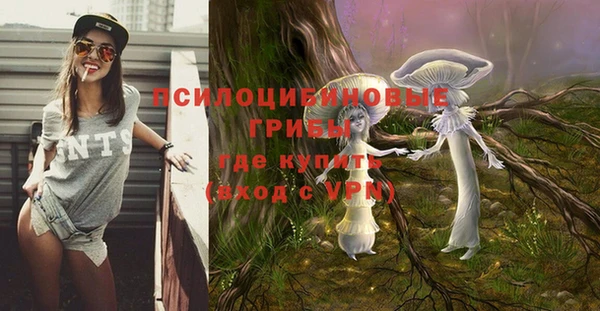 ALPHA-PVP Заводоуковск