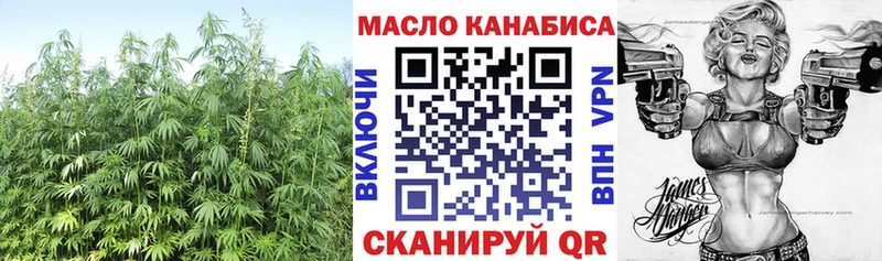 Купить  Нерехта  ТГК концентрат 