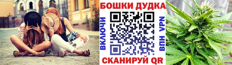 Купить где  Нерехта  Бошки Шишки семена 